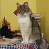 Отзыв от Софья Лукьянова